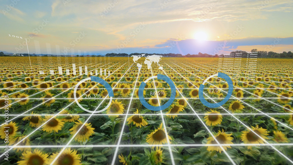 Future smart agriculture concept, Agritech data and graphs on a sunflower field - 3D render