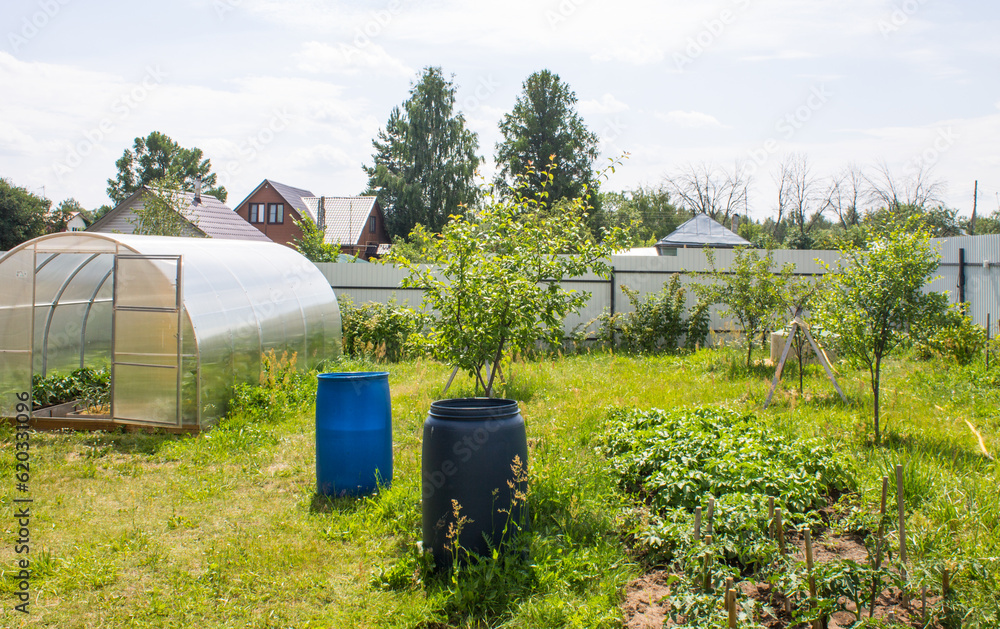 A suburban plot with a greenhouse, fruit trees, beds, green grass and a fence on a sunny summer day in the Moscow region. Concept gardening and rural farming