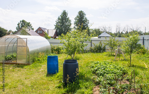 A suburban plot with a greenhouse, fruit trees, beds, green grass and a fence on a sunny summer day in the Moscow region. Concept gardening and rural farming