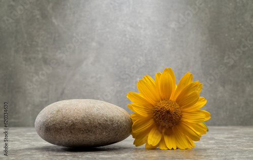 stones and yellow flower for podium.minimal composition with beautiful yellow flower and stones for product presentation podium background