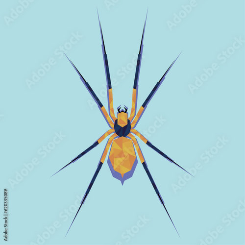 polygonal spider on a blue background