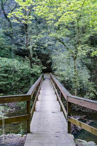 Fototapeta Naklejka Na Ścianę i Meble -  wooden walking bridge over a stream in a green summer forest.