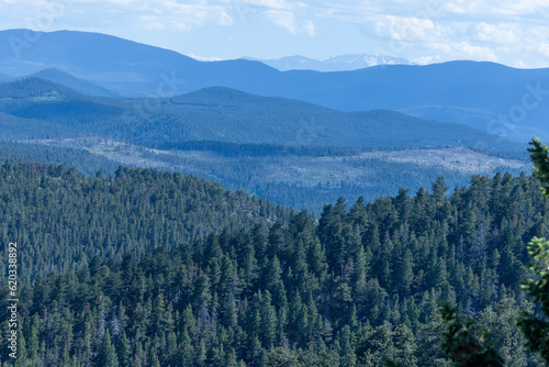 Beautiful Forest Landscape in Colorado, USA