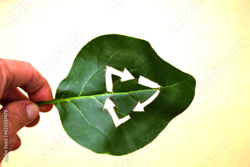 Recycling symbol carved on a green leaf held in the hand. Three chasing arrows folded in a Mobius strip. 