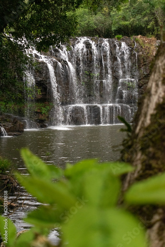 waterfall in the jungle