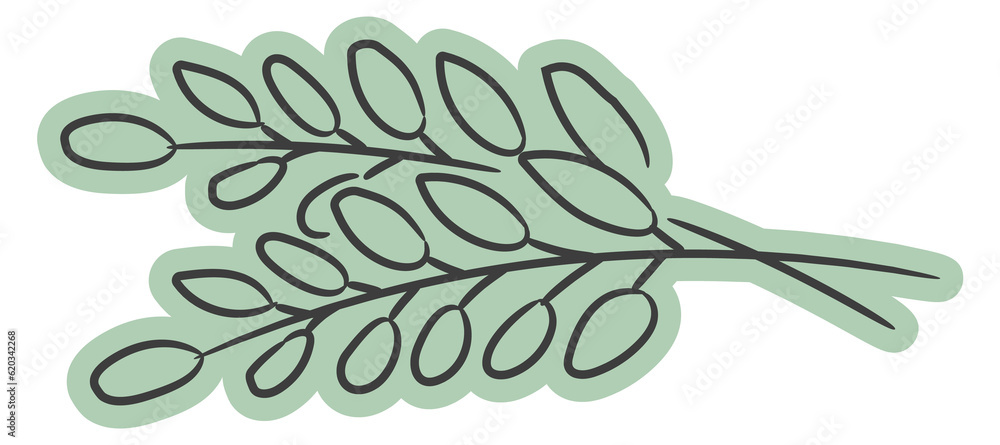 Obraz premium Rosemary branch. Food seasoning herb doodle icon