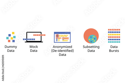 Software Data testing type such as mock data, dummy data, anonymized, subsetted and bursts