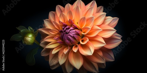 Dahlia flower copy space  background. AI Generated