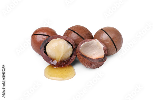 Delicious organic Macadamia nuts isolated on white