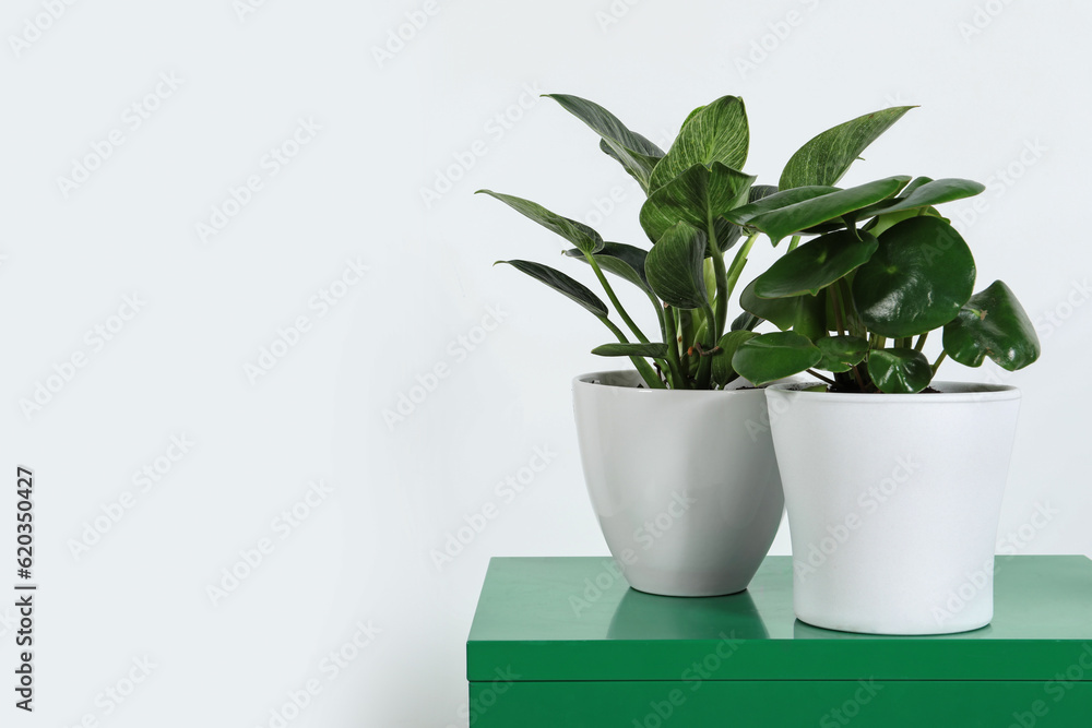 Different houseplants in pots on green chest of drawers near white wall, space for text