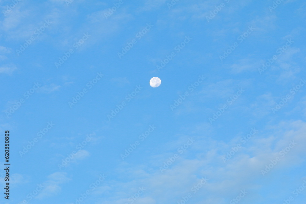 beautiful moon in the blue sky on a clear morning beautiful moon in the blue sky on a clear morning