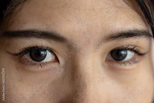 Portrait close up of eyes of happy asian casual businesswoman in office photo