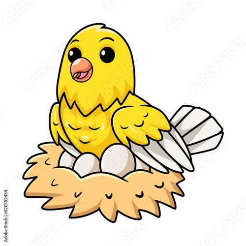 Cute canary bird cartoon with eggs in the nest