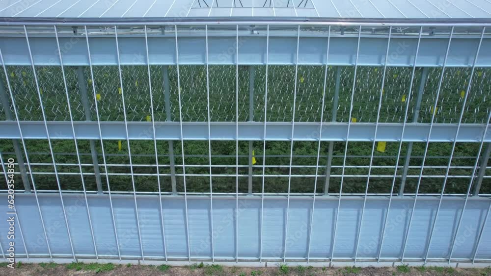 Greenhouse aerial view. Technology for large scale fresh produce for healthy eating of population. Concepts of energy usage infrastructure, food prices inflation, affordability demand, food shortage. Greenhouse aerial view. Technology for large scale fresh produce for healthy eating of population. Concepts of energy usage infrastructure, food prices inflation, affordability demand, food shortage.