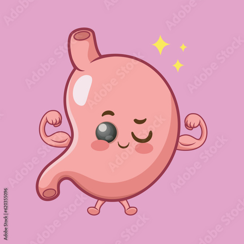 cute stomach strong organ cartoon vector icon illustration
