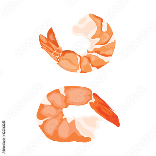 Vector illustration of shrimp prawn icons set. Boiled shrimp drawing on a white background. Collection shrimp, shrimps without shell, shrimp meat. Menu icon for healthy sea food. Protein food