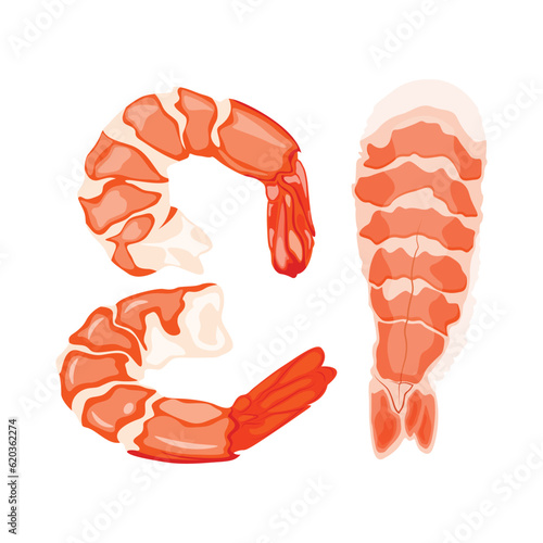 Vector illustration of shrimp prawn icons set. Boiled shrimp drawing on a white background. Collection shrimp, shrimps without shell, shrimp meat. Menu icon for healthy sea food. Protein food