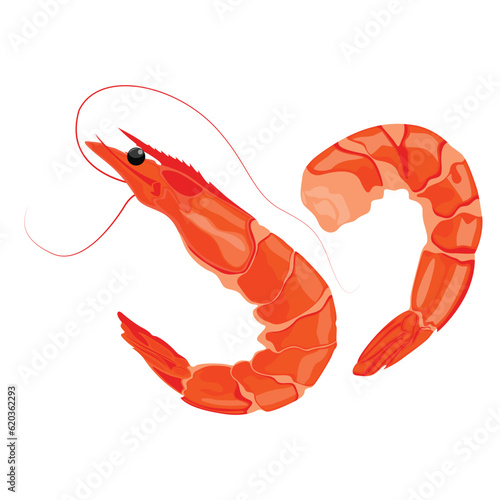 Vector illustration of shrimp prawn icons set. Boiled shrimp drawing on a white background. Collection shrimp, shrimps without shell, shrimp meat. Menu icon for healthy sea food. Protein food