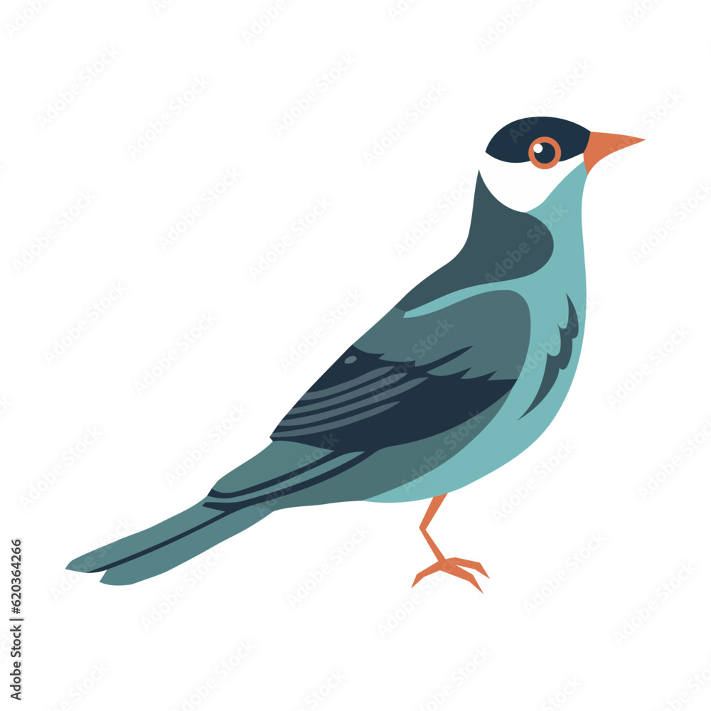 Cute cartoon bird nature beauty Cute cartoon bird nature beauty