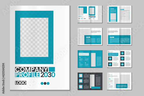 Company profile, multipage brochure template, include cover page, vertical a4 format presentation, landing page, annual report, leaflet, magazine, catalog, minimalist colorful geometric layout design