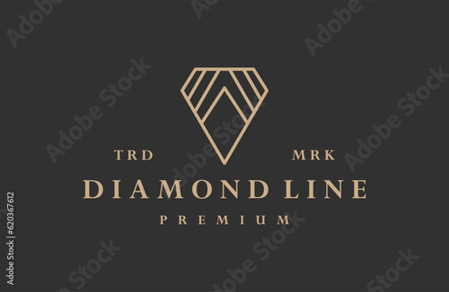Luxury diamond logo vector icon illustration hipster vintage retro .