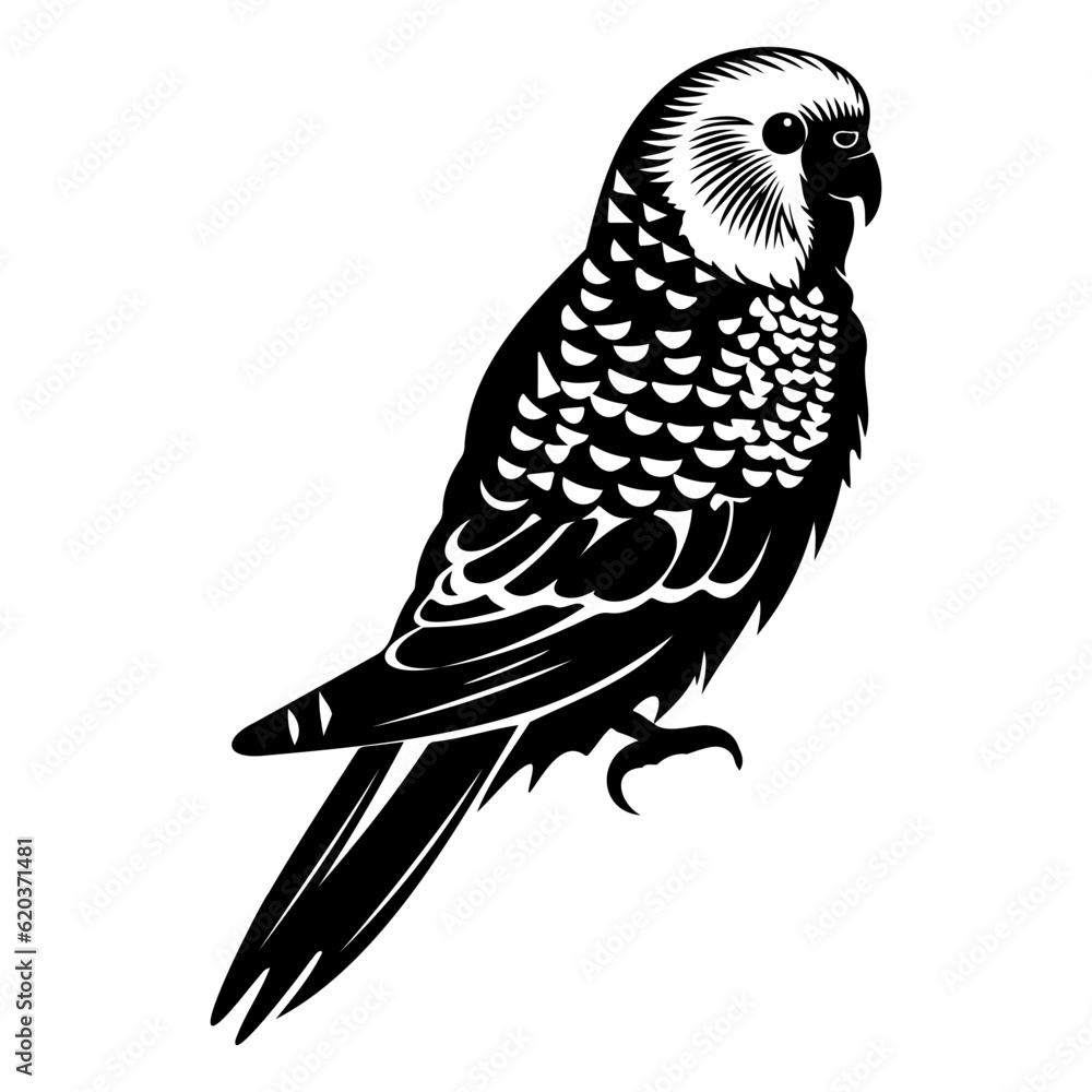 Fototapeta premium Budgerigar silhouette, Budgerigar mascot logo, Budgerigar Black and White Animal Symbol Design, Bird icon. 