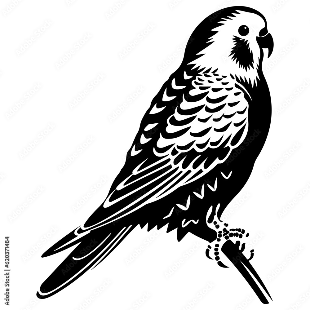 Fototapeta premium Budgerigar silhouette, Budgerigar mascot logo, Budgerigar Black and White Animal Symbol Design, Bird icon. 
