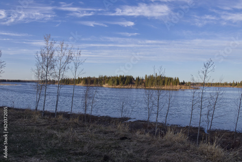 Elk Island National Park during Evening Hours in Spring