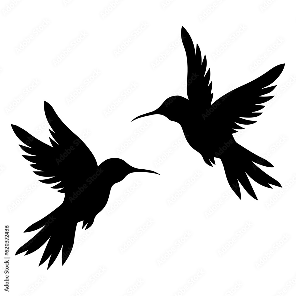 Fototapeta premium Hummingbirds silhouette, Isolated on white background, Silhouette of a bird, bird, logo, icon, vector illustration.