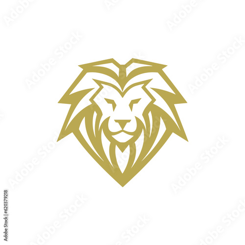 Lion head iIllustration logo. Isolated on white background