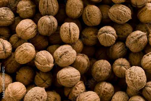circassian walnut texture photo