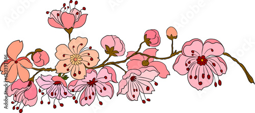 Free hand Sakura flower vector set, Beautiful line art Peach blossom isolate on white background.Cherry blossom illustration set.Element for weding card or printing on backdrop. 