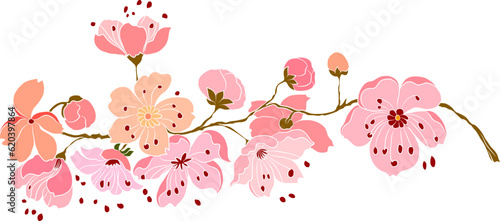 Free hand Sakura flower vector set, Beautiful line art Peach blossom isolate on white background.Cherry blossom illustration set.Element for weding card or printing on backdrop. 