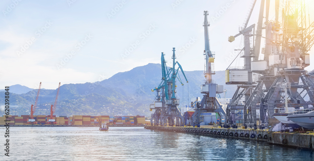 Seascape with loading cranes and stacks of cargo containers against the background of mountains in the morning sun