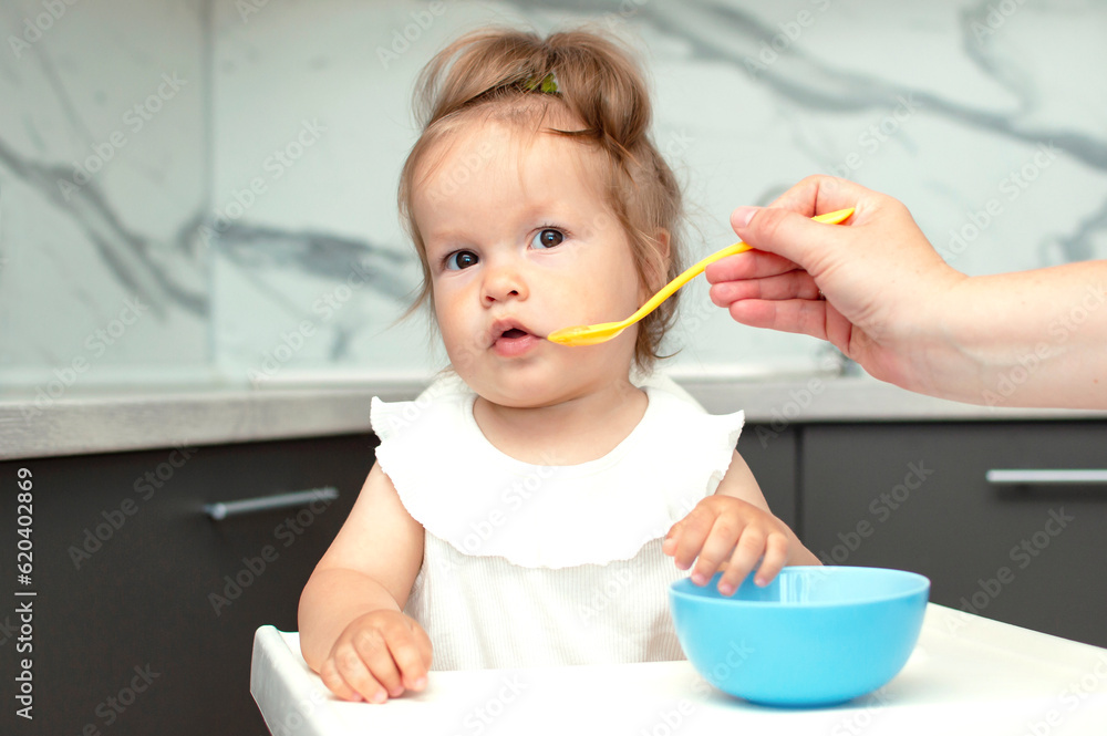 Baby is trying to eat on her own from plate, sitting on high chair. Hand with spoon for vegetable lunch. Weaning baby, first solid food for small child. Healthy baby food Baby is trying to eat on her own from plate, sitting on high chair. Hand with spoon for vegetable lunch. Weaning baby, first solid food for small child. Healthy baby food