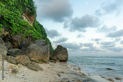The view of the undulating beach and coral rocks overgrown with green scaevola taccada under the beautiful sky horizon