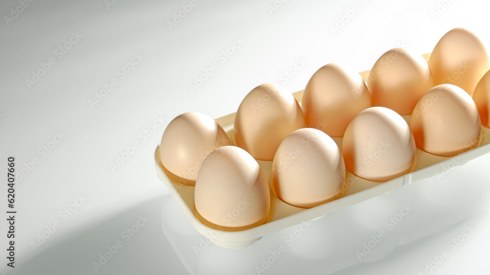 Chicken eggs in a white stand illuminated by strong side light Chicken eggs in a white stand illuminated by strong side light
