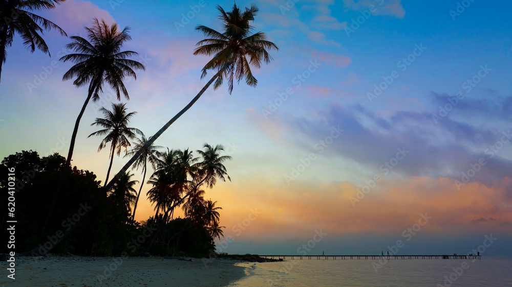 Obraz premium Summer tropical with colorful theme as palm trees on the beach background