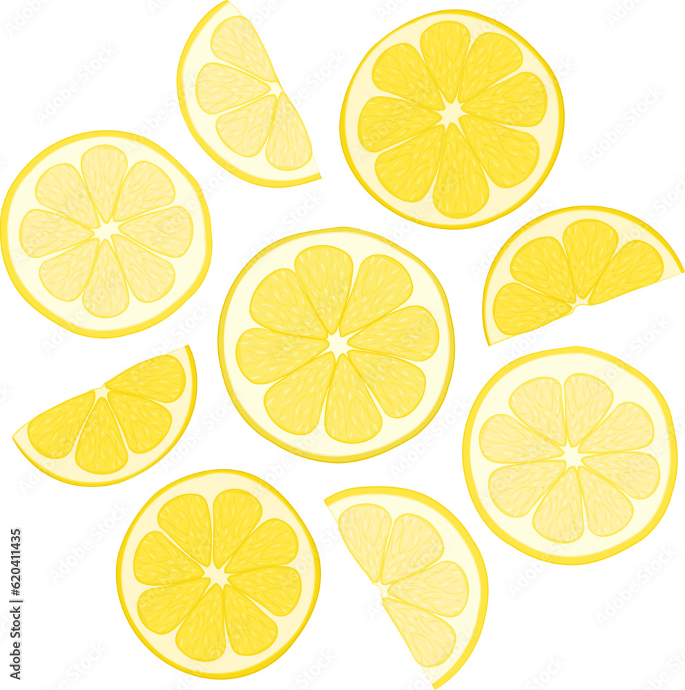 Color illustration of fresh lemon slices. 
Vector illustration of fresh citrus cuts of nine lemon pieces. Image of summer fruit salad of lemon slices in vector. Illustrations of citrus tropical fruits