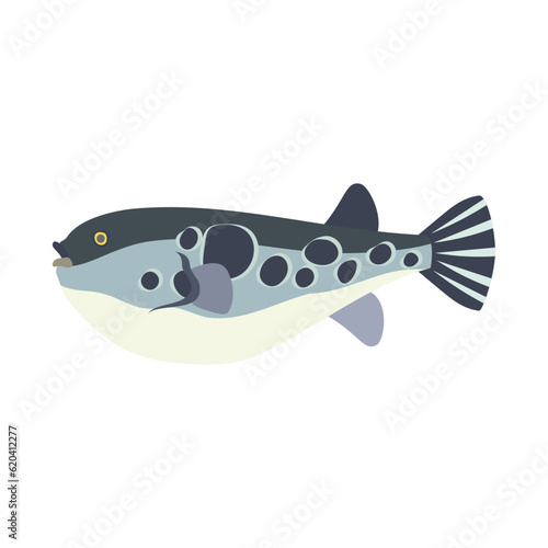 トラフグ。フラットなベクターイラスト。 Japanese pufferfish. Flat designed vector illustration.