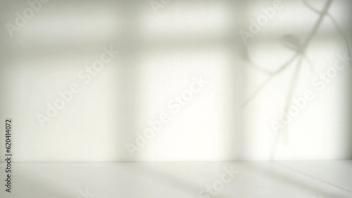 empty room display with white wall