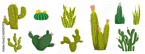 Set of blooming cacti and succulents. Exotic thorny plants. Vector graphics.