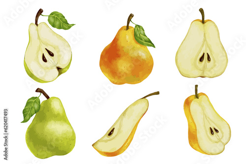 Set of watercolor pears. Vector ripe fruits.