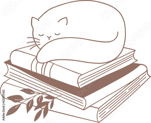 Cat sleeping on books hand drawn book illustration