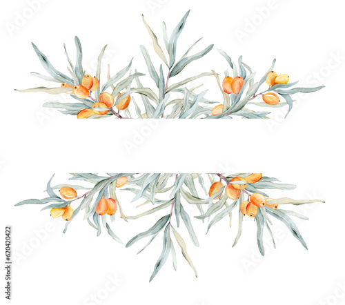 Sea buckthorn frame. Watercolor illustration. On a white background. For cosmetology, pharmaceuticals, food industry. Decorative element for greeting card. Nature clipart for decoration, desig © Ekatmart