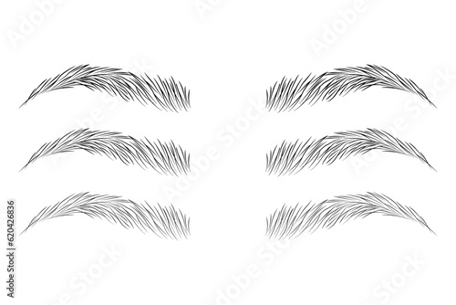 Eyebrow shape set, Brown eyebrow bag, Brown eyebrows isolated on white background, Brown eyebrow vector, Fashion eyebrows of various shapes and types, eyelash