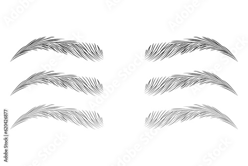 Eyebrow shape set, Brown eyebrow vector, Fashion eyebrows of various shapes and types, Brown eyebrow bag, Brown eyebrows isolated on white background, eyelash