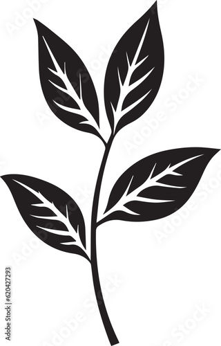 Basil Leaf Black And White, Vector Template  for Cutting and Printing © ACE STEEL D