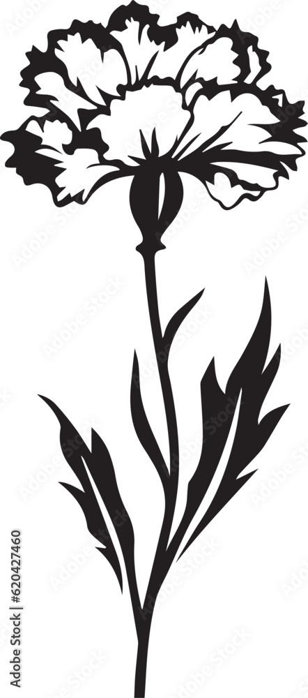 Carnation Black And White, Vector Template Set for Cutting and Printing Carnation Black And White, Vector Template Set for Cutting and Printing