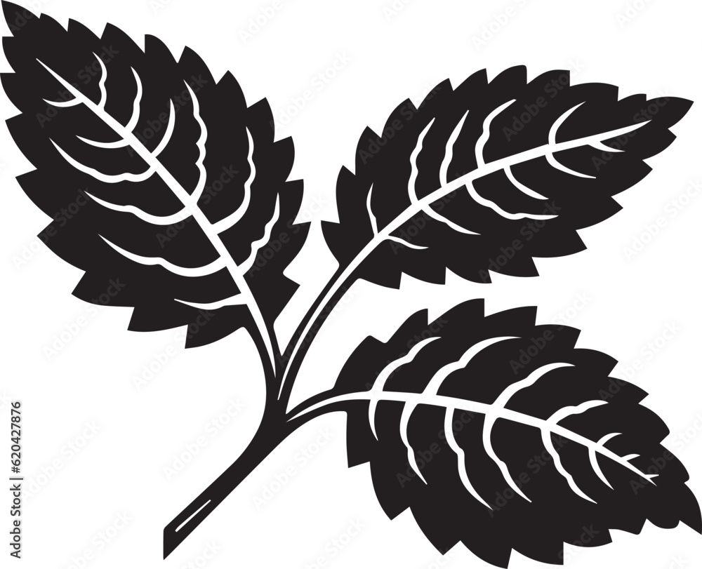 Fototapeta premium Raspberry Leaf Black And White, Vector Template Set for Cutting and Printing